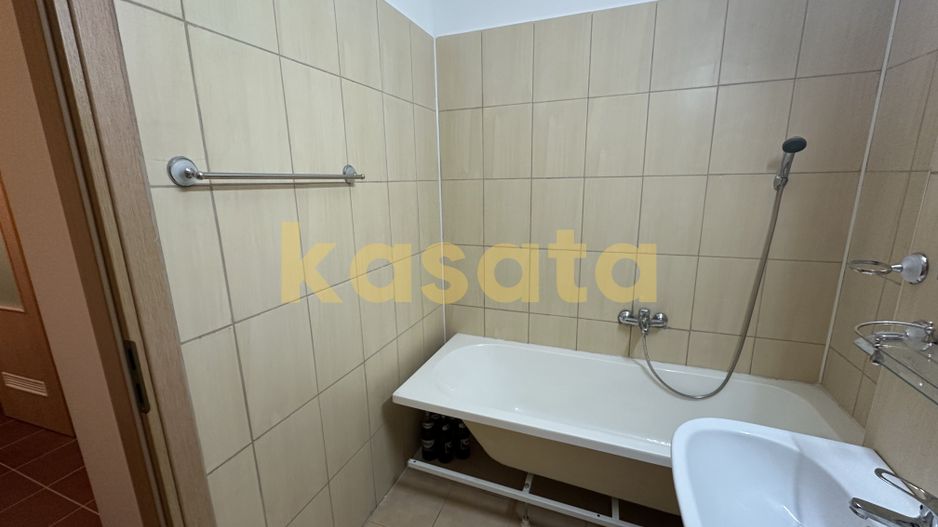 Garsonieră | Zona Brâncuși | Etaj Intermediar | Bloc 2010 - Poză 9