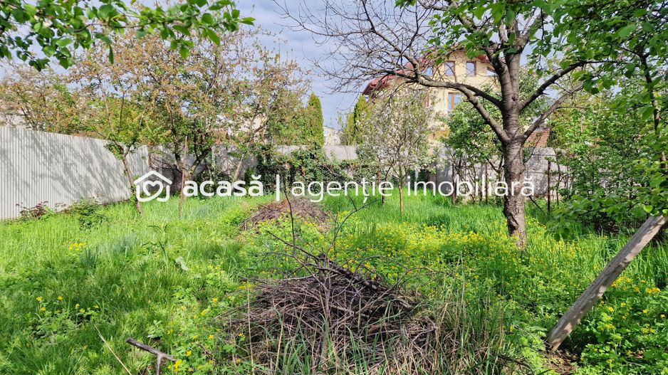 Teren spațios cu casă veche in Vlaicu - Poză 7