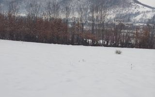 Teren intravilan 2.295 mp, deschidere 60 m – Rășinari, comision 0% - Poză 10