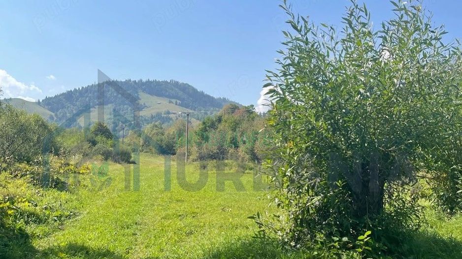 Teren de vânzare, 2.500 mp, Prisaca Dornei, zona Hurghiș, Câmpulung Moldovenesc - Poză 3