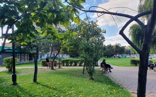 Spatiu comercial Nicolina - Poză 2