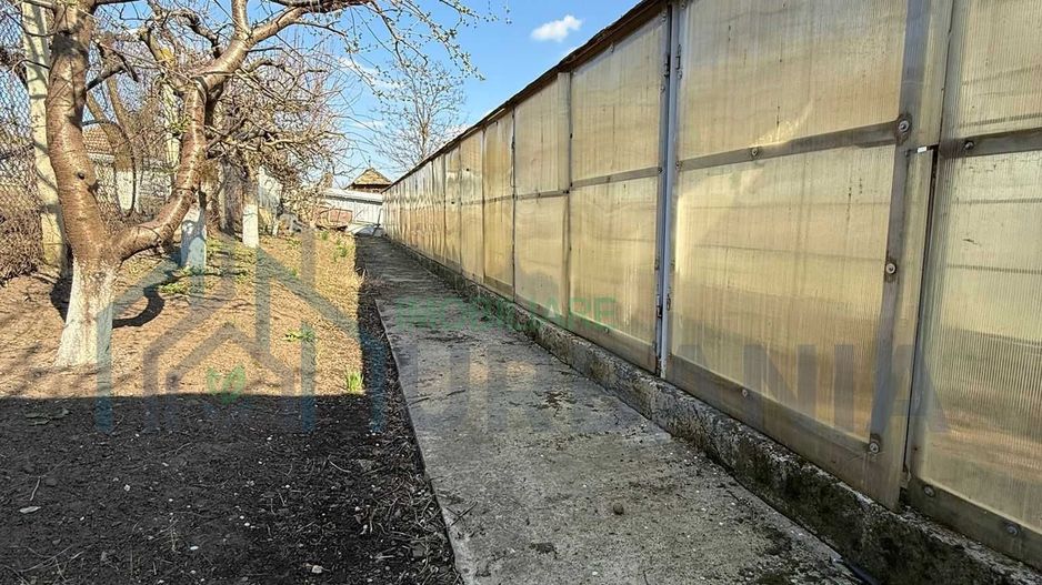 Teren de vânzare cu seră și vie în com. Belcești, jud. Iași - Poză 4