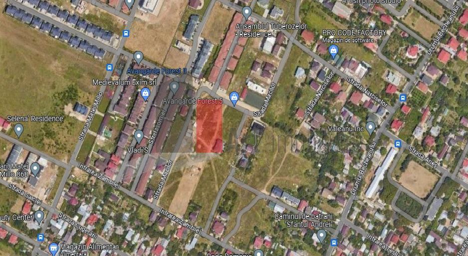 Teren Intravilan Matei Milo - Poză 2