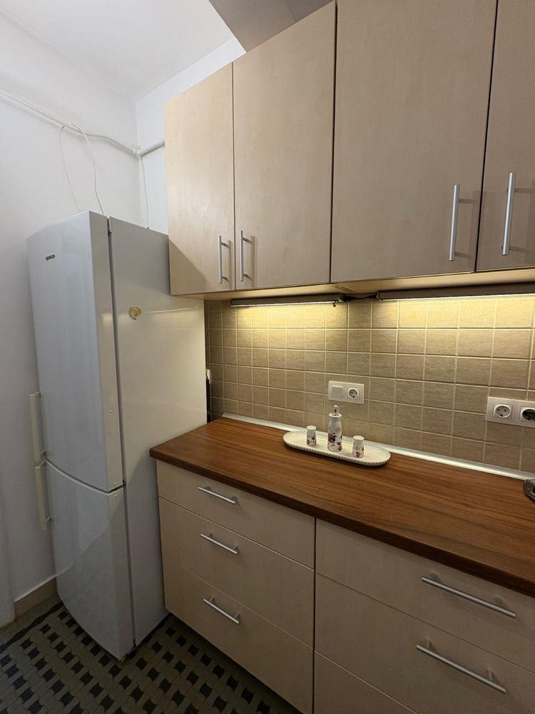 Apartament  Grădina Icoanei // Dionisie Lupu - Poză 7