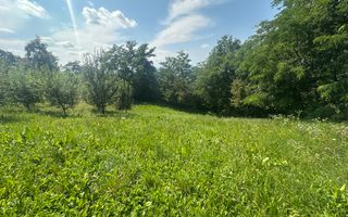 Teren Darmanesti | 41 Ari | 26.500EURO - Poză 5