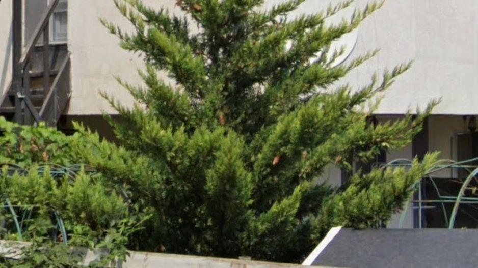 Vilă modernă cu 4 camere, lângă pădure, în Tunari - Poză 5