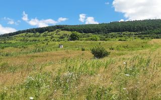 Teren de vanzare in Martinesti - Poză 3
