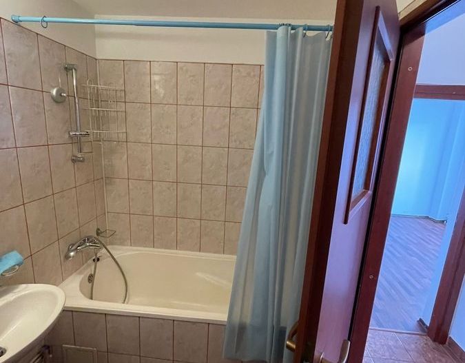 Apartament Banu Manta // Titulescu - Poză 6
