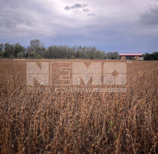 Teren zona buna. - Poză 1