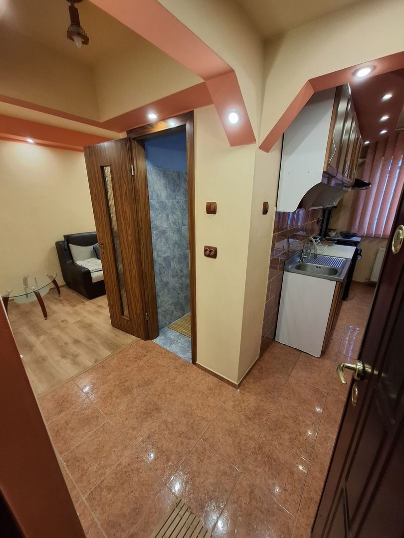 Ap 2 camere, renovat, amenajat et 2,bloc izolat, Sagului - Poză 23