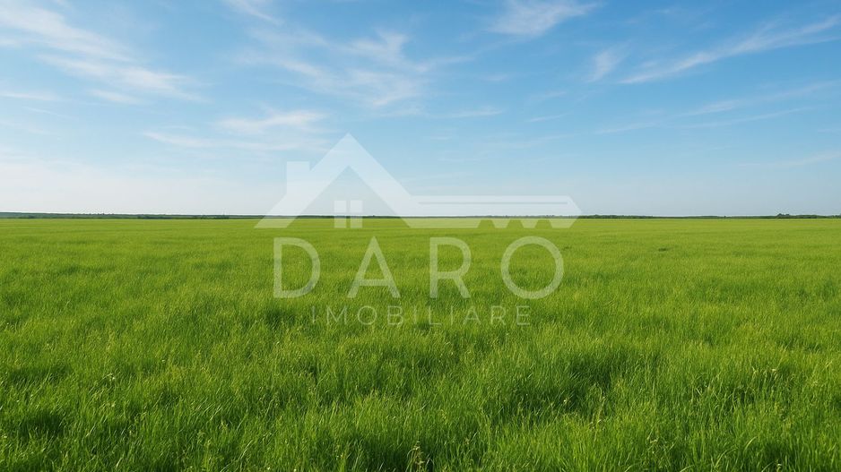 Vanzare de teren agricol in localitatea Voivodeni. - Poză 2