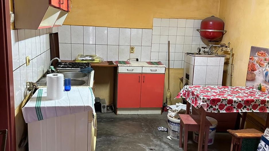 Casa de vanzare Variasu Mare, Arad - Poză 10