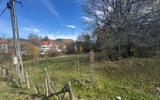 TEREN INTRAVILAN 13167 MP BUGHEA DE SUS ARGES - Poză 9