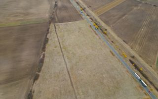 Teren 22.500 mp–Pecica, jud. Arad,Posibilitate PUZ - Poză 8