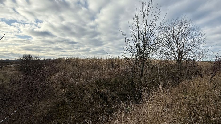 VAND TEREN 46 ARI | VOLOVAT | 47.000 EURO | - Poză 8