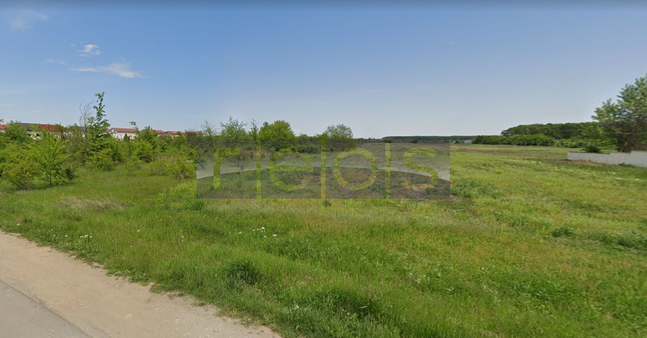 Oportunitate Corbeanca | 51.772 mp | deschidere 142 mp | utilitati - Poză 4