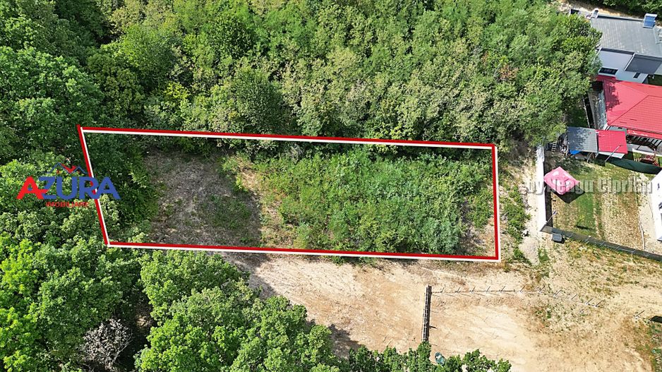 AZURA Imobiliare - Vanzare teren Hintesti, langa padure, 300m din DN - Poză 17