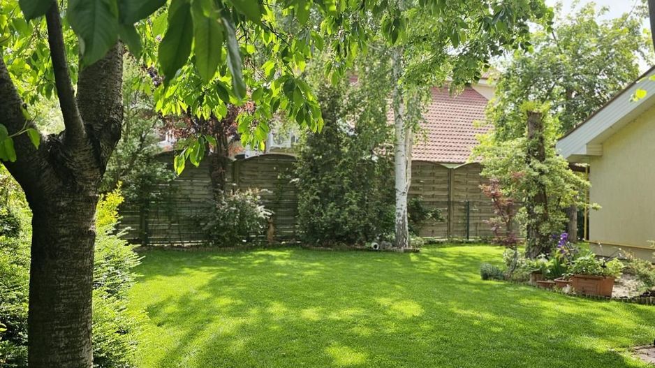 Vila 4 camere 220 mpu - 400 mp teren - Pipera / V Alecsandri - Poză 5