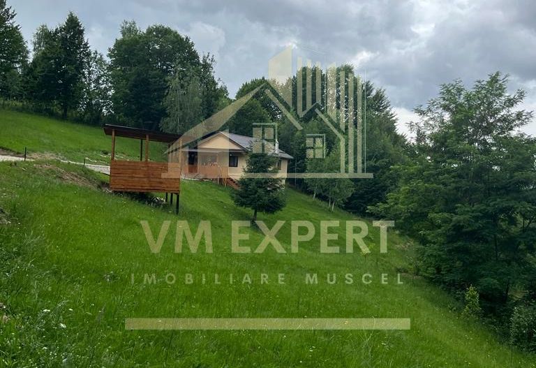 CASA 3 CAMERE, TEREN 3100 MP, ALBESTI DE MUSCEL, ARGES - Poză 16