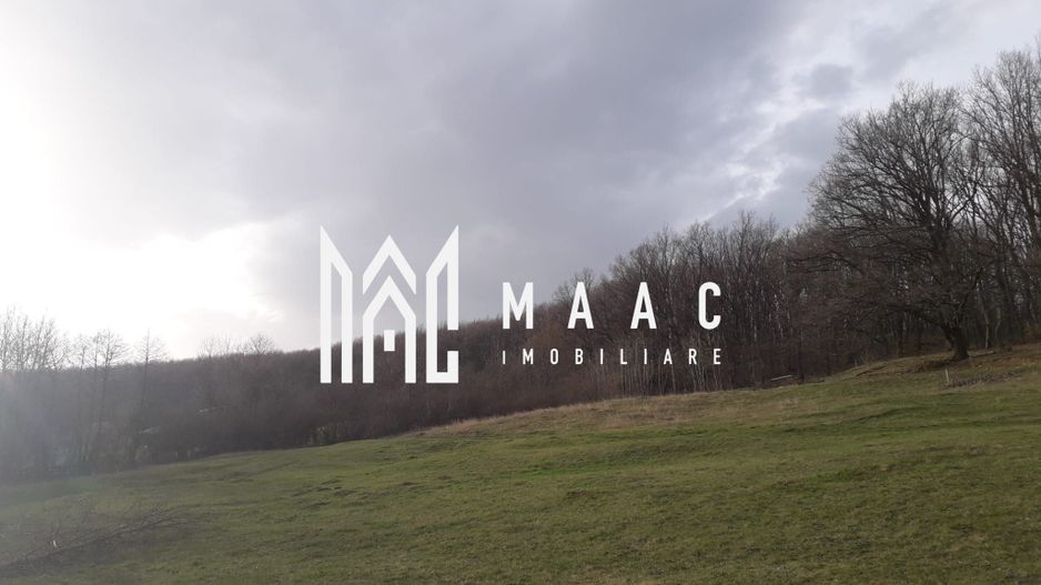 Teren Extravilan 4.572mp | Zonă liniștită | Sadu - Poză 10