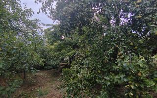 casa - 24 ari de teren - Valea Ghinzii - Poză 9