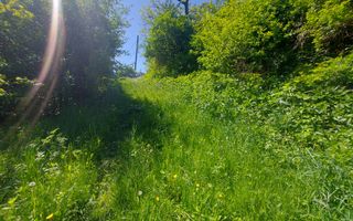 Teren intravilan ptr.constructii case/2700mp/zona accesibila. - Poză 3