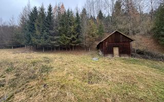 Casa Sucevița | 4.000 mp teren | Zonă liniștită 🌲 - Poză 17