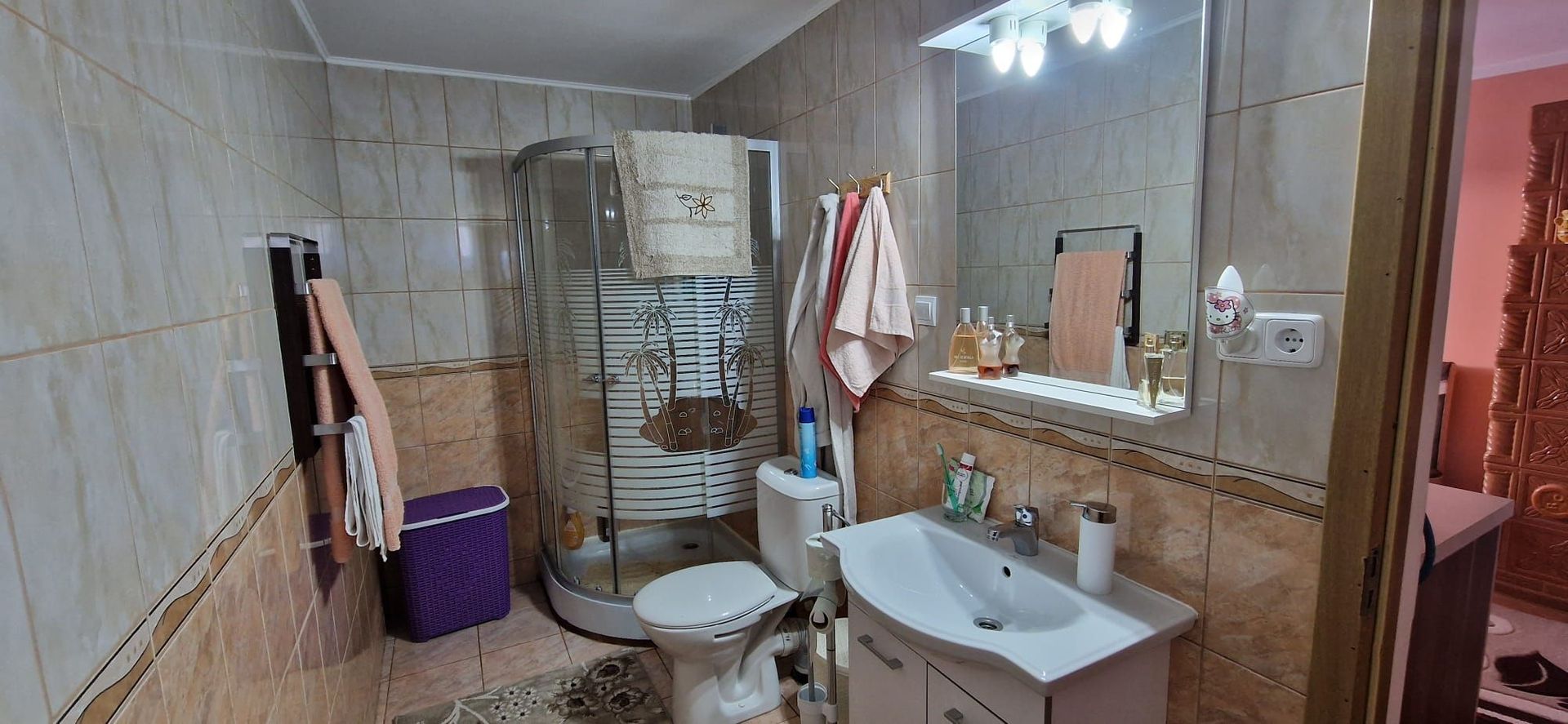 Vand Casa 3 camere Baia-Suceava - Poză 5