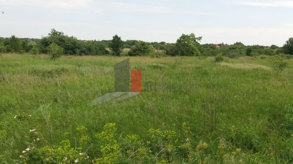 Teren Buftea cu iesire la lac - Poză 15