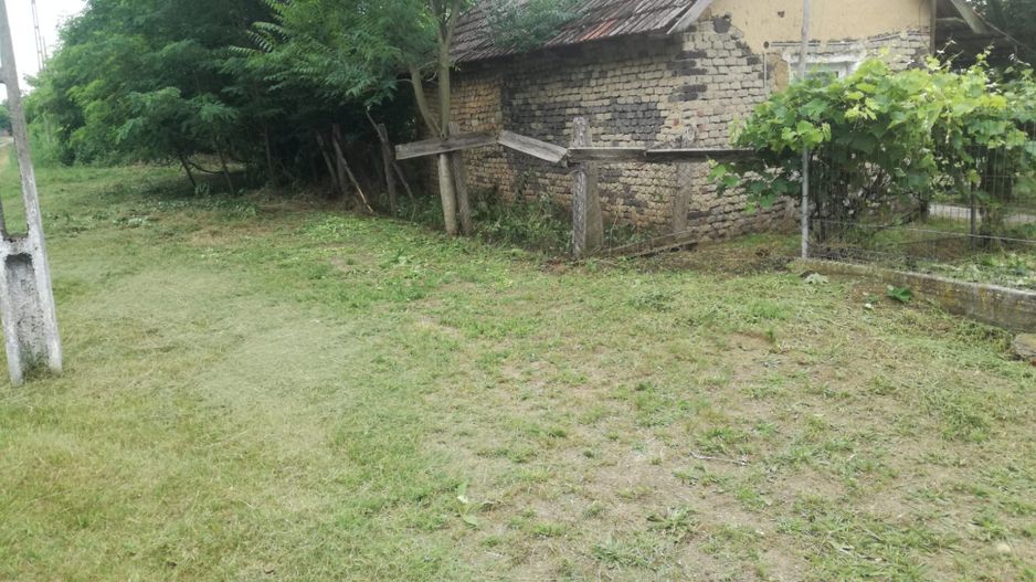 Ag BRASADAS vinde casa LOCUIBILA 3 cam teren 5.000 mp HOREA. - Poză 4