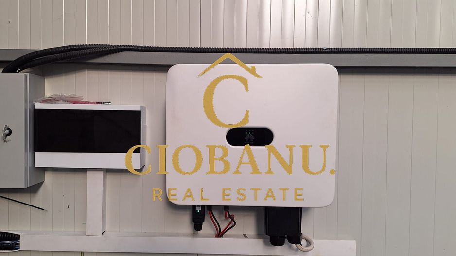 Hala de vanzare in Racarii de Jos - Poză 6