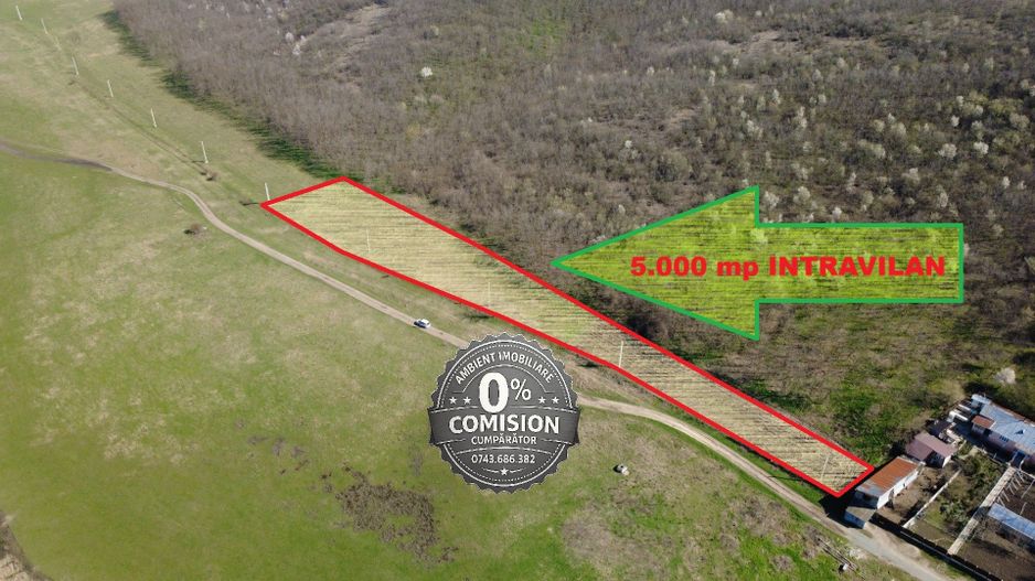 TEREN INTRAVILAN 5.000 mp, VASLUI - zona LAC DELEA; - Poză 2