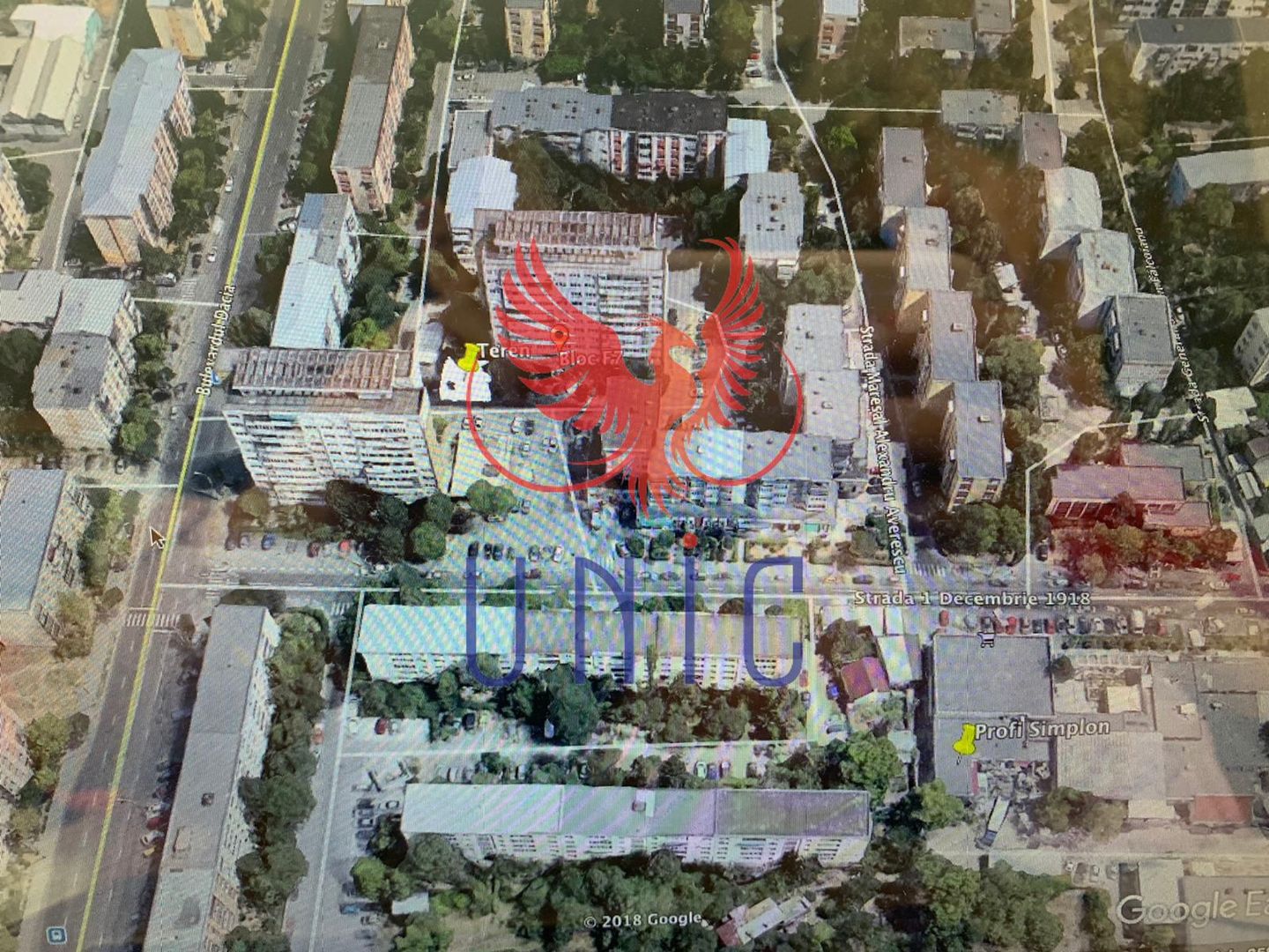 Teren intravilan Brazda lui Novac - Poză 3