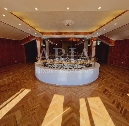 VANZARE VILA | HALA IN VLADICEASCA | SNAGOV | 10.500 MP TEREN - Poză 11