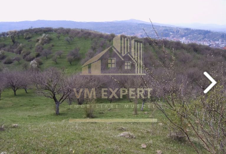 TEREN INTRAVILAN 4030 MP, INTRAVILAN, CAMPULUNG - Poză 1