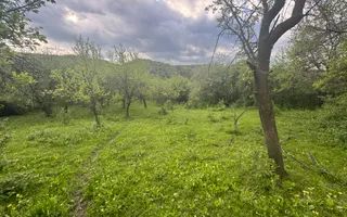 TEREN INTRAVILAN 7018 MP CAMPULUNG - Poză 11