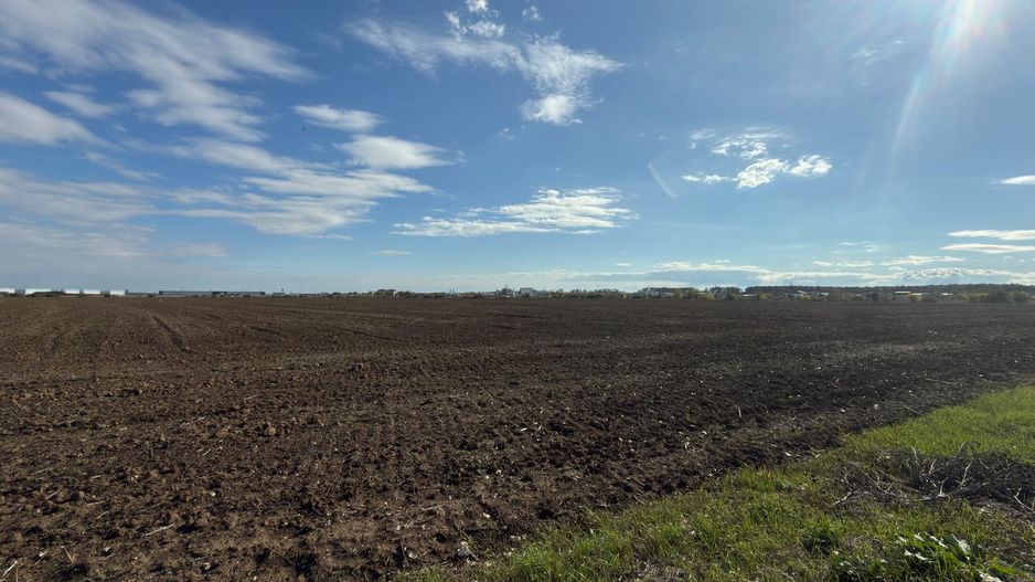 TEREN 26.500 mp -BUFTEA - INDUSTRIAL / COMERCIAL - Poză 7