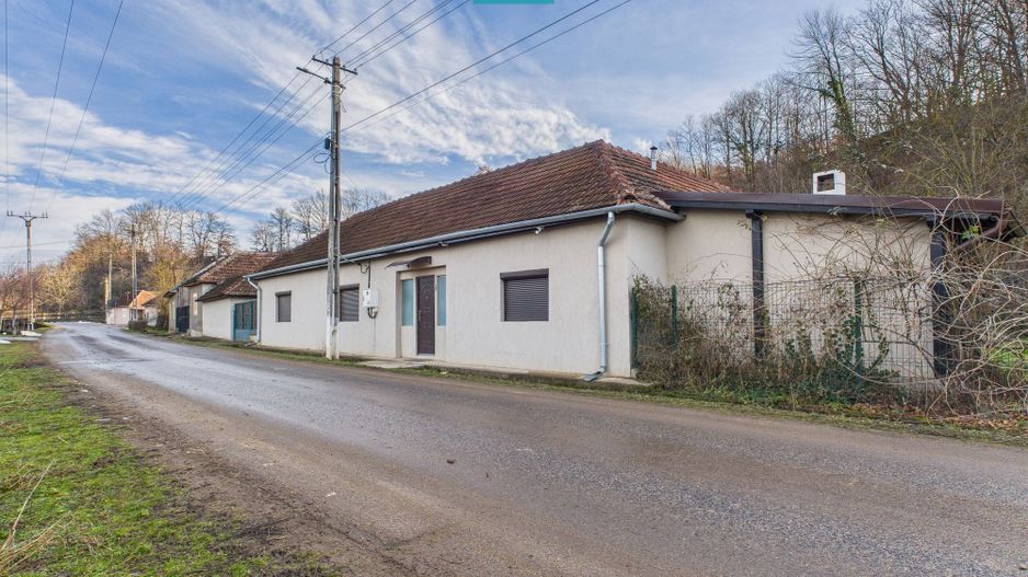 Casă deosebită la Urvişu de Beliu - Poză 1