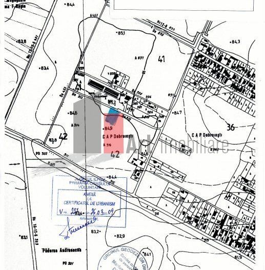 Teren Intravilan Matei Milo - Poză 5