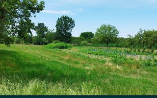 Casa si teren de vanzare - Poză 5