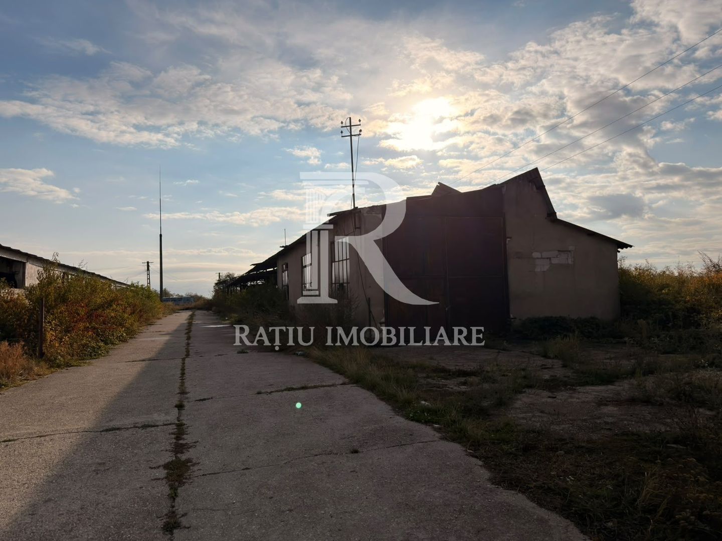 Fermă Sărand | Bihor | 25.659 mp teren intravilan - Poză 19