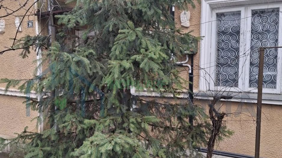 Casa de vanzare Copou-Sadoveanu - Poză 4