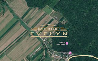 Teren intravilan 10.600 mp – Zona Restaurant Stejaru, Baisa - Poză 1