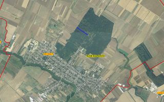 Teren 10,000mp Afumati | Padure | Soseaua Petrachioaia - Poză 2
