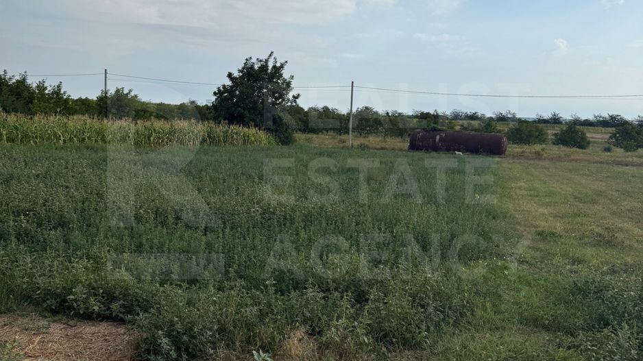 Vânzare, teren, 12 ari, Cojușna, Strășeni - Poză 4