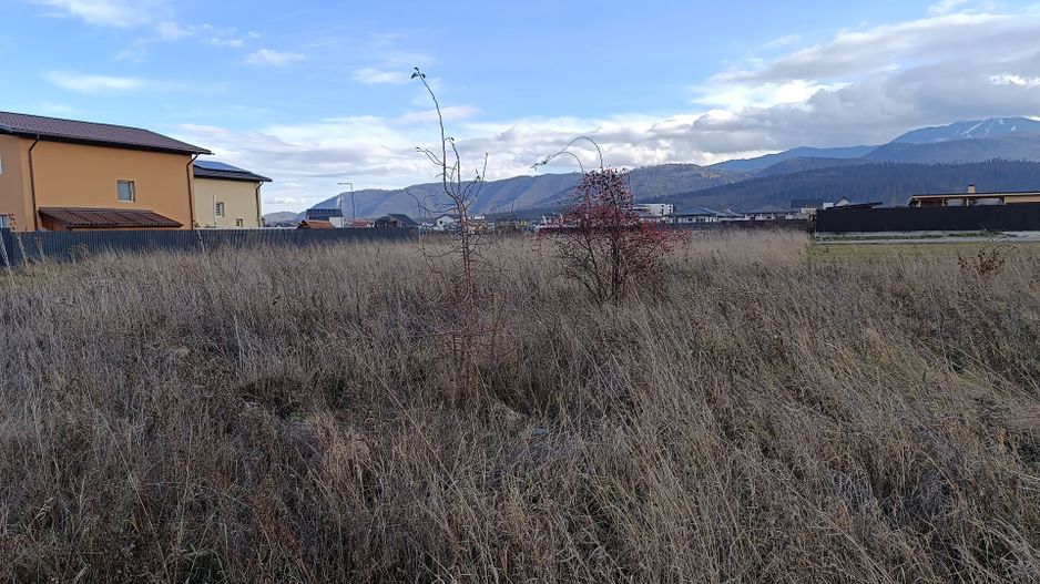 Teren intravilan-Rasnov-Spicului - Poză 9