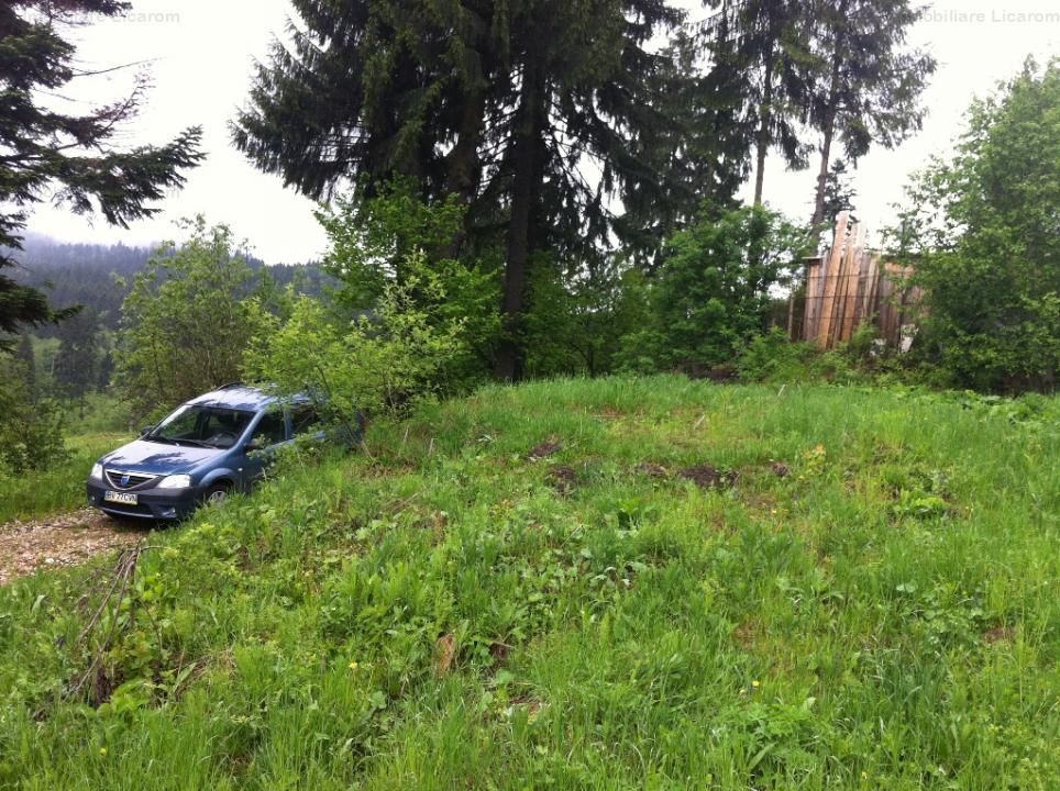 Teren intravilan Cotul Donului,pretabil Hotel/pensiune. - Poză 5