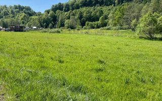 Teren 3.000 mp Bunești – E58, 23 m deschidere - Poză 3