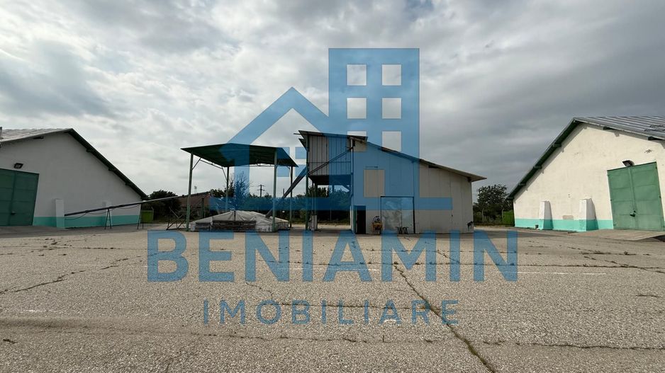 Depozit Cereale-3 Silozuri-Aut ISU-31.000mp-Perfect functional-Olt - Poză 10