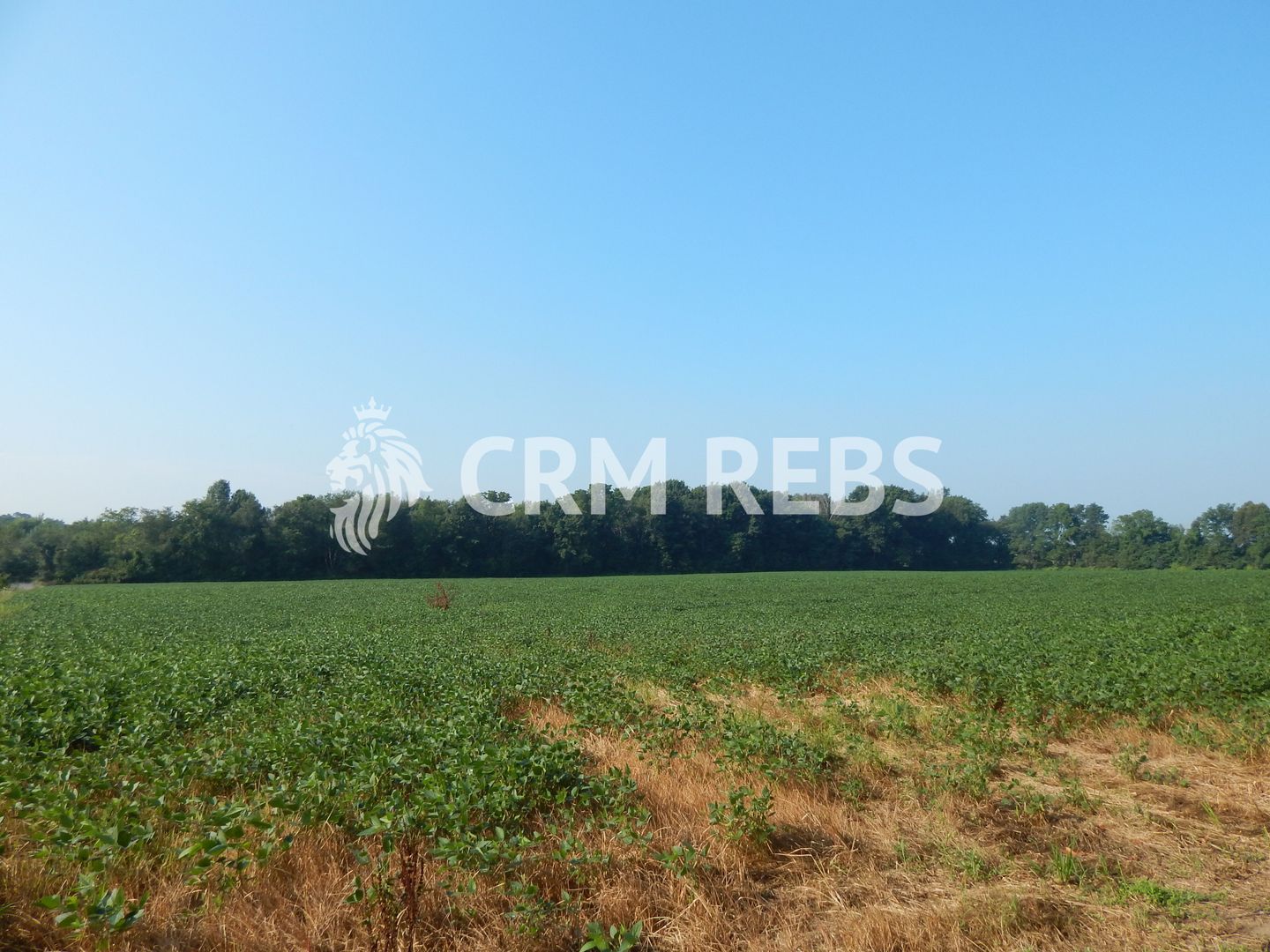 Teren cu PUZ de vanzare in Buna Ziua - Poză 4